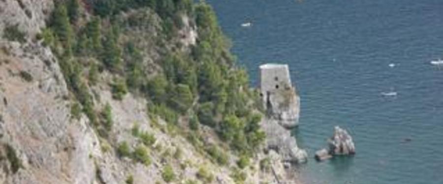Castle In the Air - 2009 Movies - Lakedance Film Festival, Sandpoint Idaho